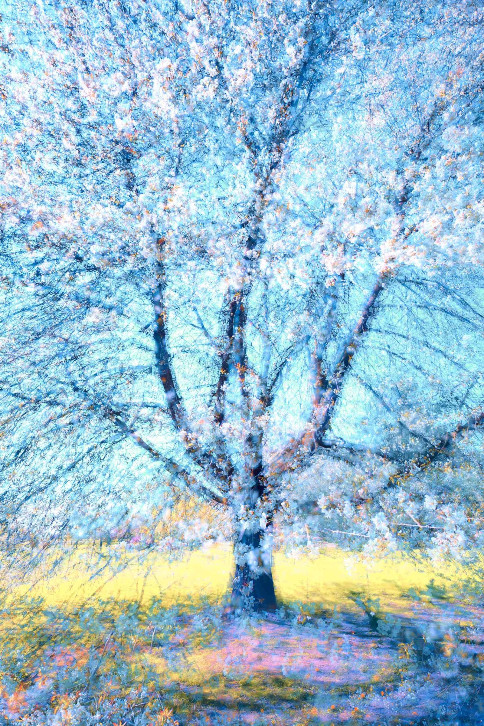 A Fragile Moment #1