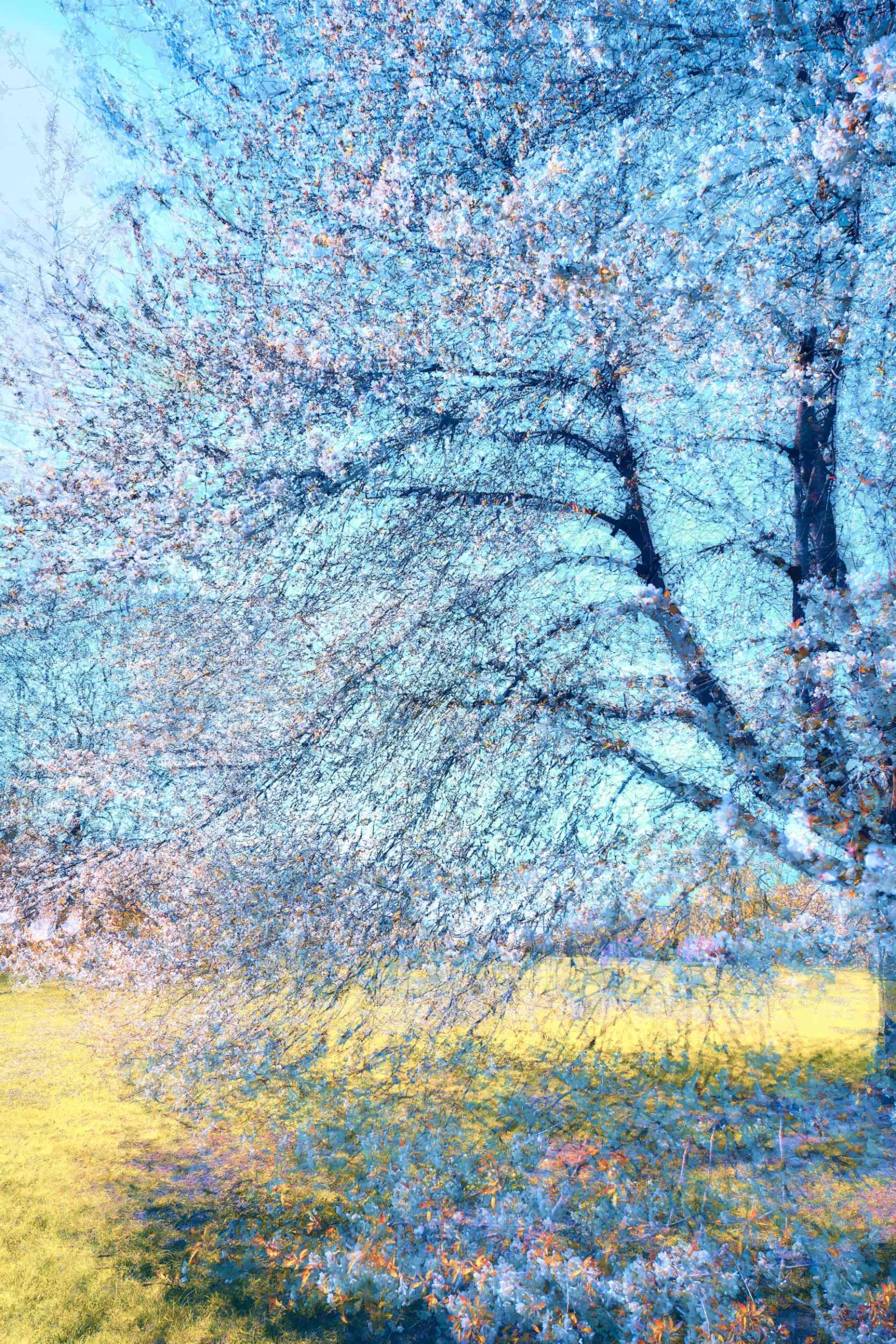 A Fragile Moment #2
