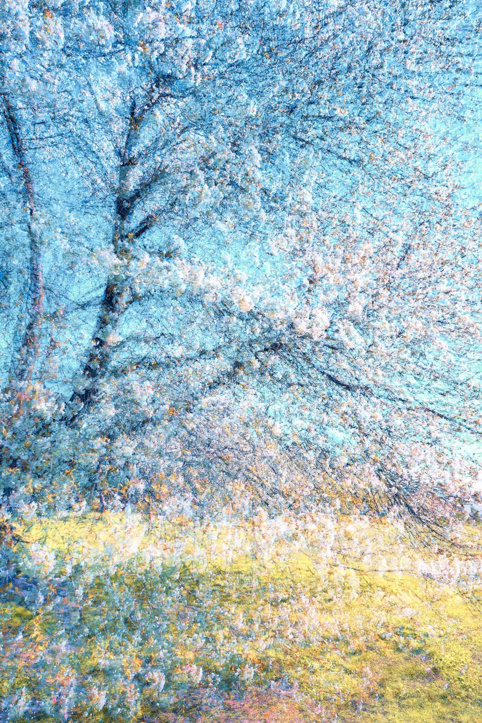 A Fragile Moment #3