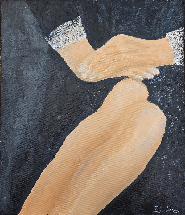 Velvet and lace, 60x70cm, 2025
