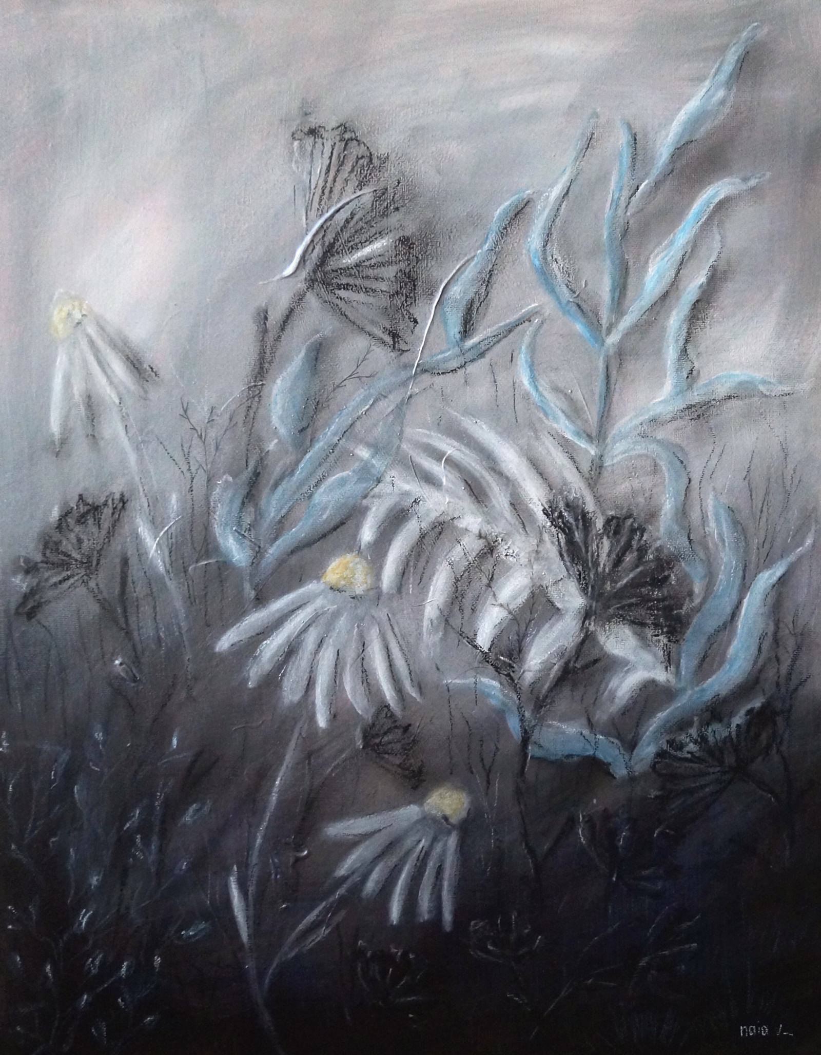 After flowering, series The vanishing trace