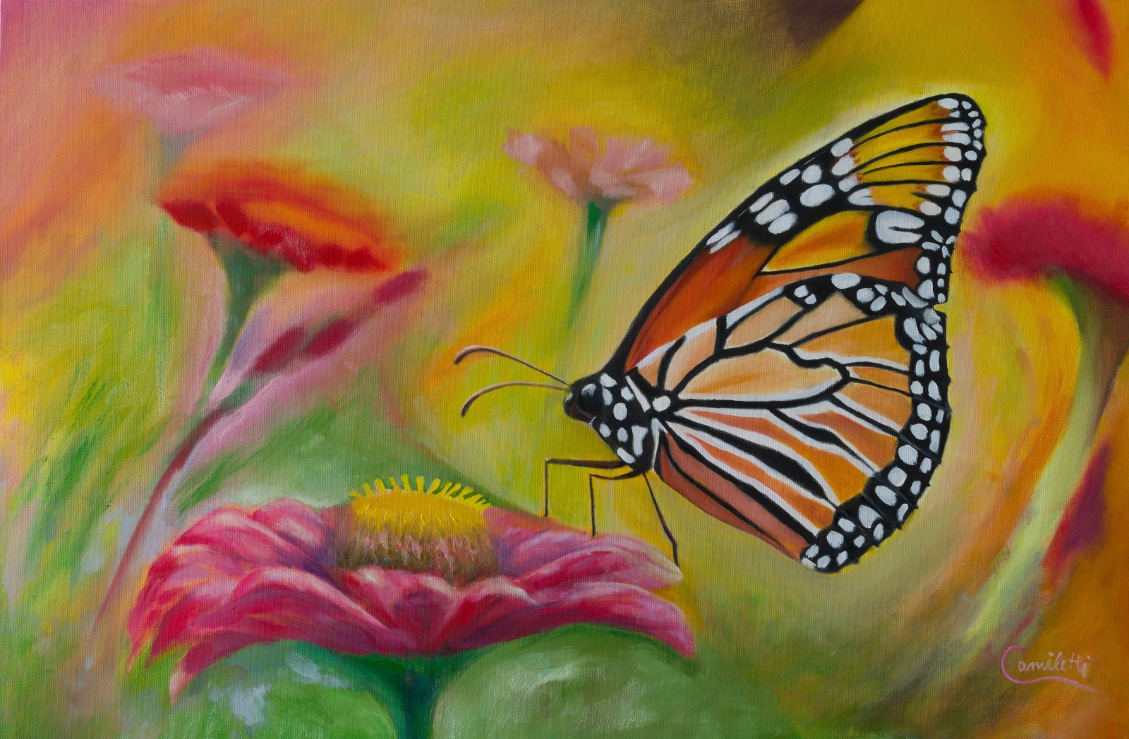 Monarch Butterfly