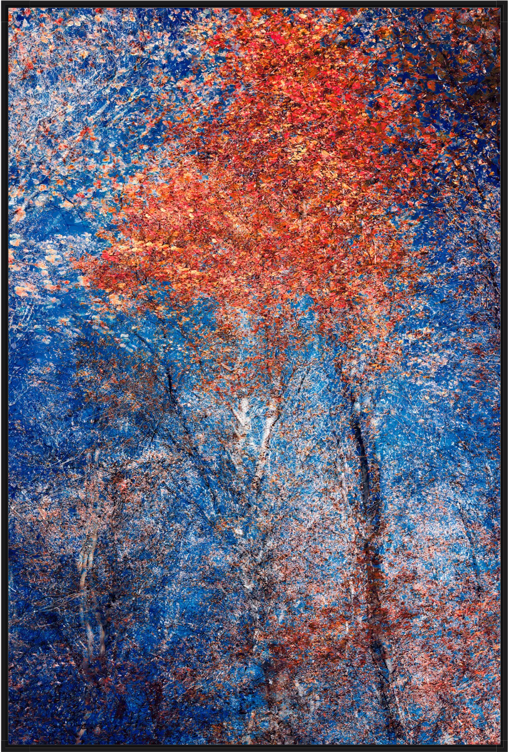 Phantom Structures: Energy of Light and Color #2